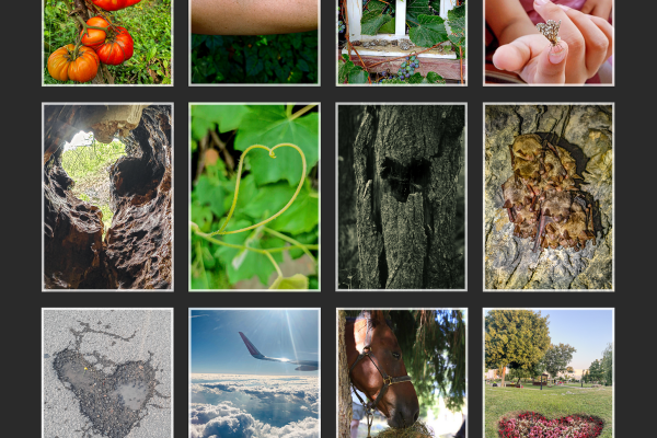 _print_frame_2025-mozaik_a1F92B1317-5749-958D-7A11-8E21E3C938E4.png