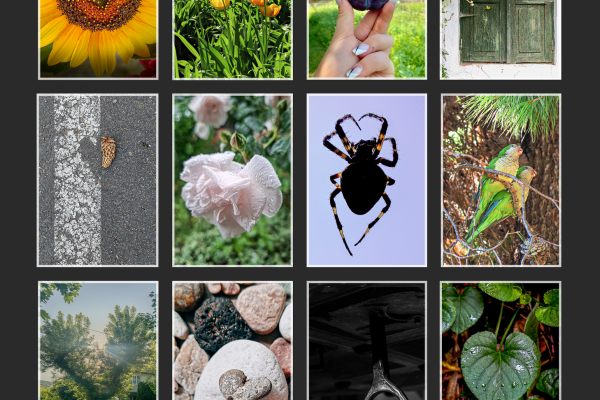 _print_frame_2025-mozaik_a2DC94C3C9-139D-26F6-6037-05D4C7B41890.png