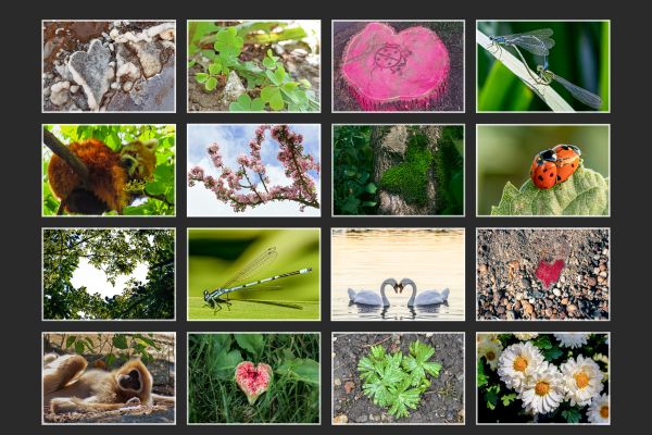 _print_frame_2025-mozaik_f11FC0EB73-D8A9-F8F4-587A-0D55F5291D39.png