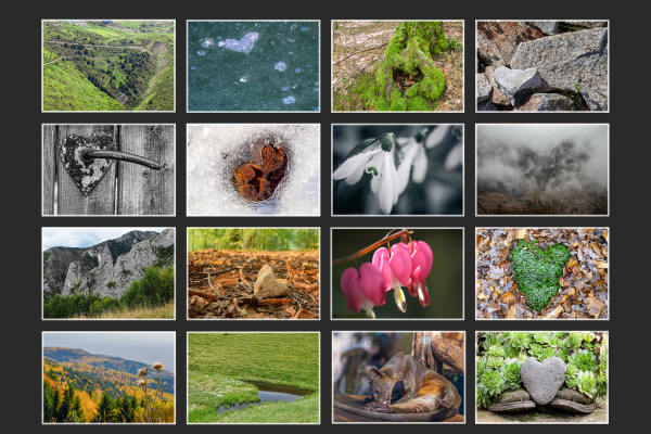_print_frame_2025-mozaik_f2B4D9250B-6C51-ED9E-BF46-19D78F90216B.png