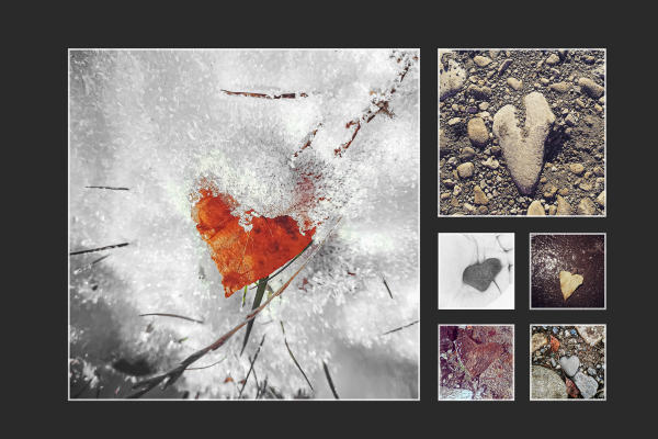albert_orsolya_szivecskeBCF89B7B-9415-6906-40BE-18DF8A1A3EC6.png