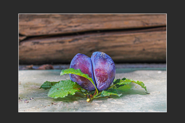 farkas_andrea_ikrek317E86A1-DE94-EA8E-5608-7B175D3879A0.png