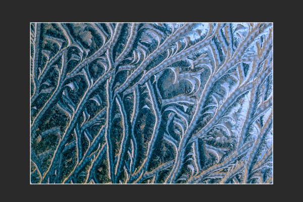 filep_zsombor_jegsziv309C15DD-07D7-D01C-4BA7-A64A94EB28F6.png