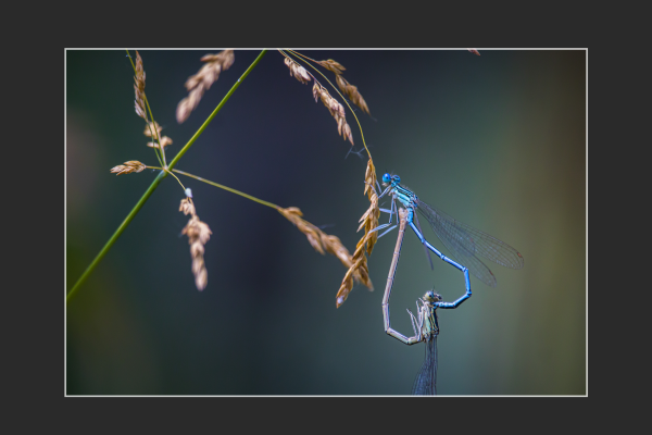 molnar_szabolcs_igaz_szerelemF1FB1F7C-588C-2CC3-F0BF-B22F6BE4B0C6.png