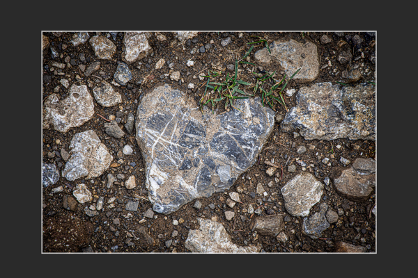 palko_gyongyosi_tibor_szivecskeE9228BE0-2AF0-A474-2F88-FDC3A55908B6.png