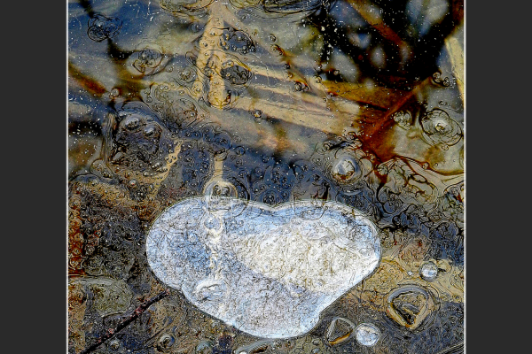 orbók-ildiló-jégszív-iceheartE0C51C0E-6EEF-D7CB-567A-215EC783B121.png
