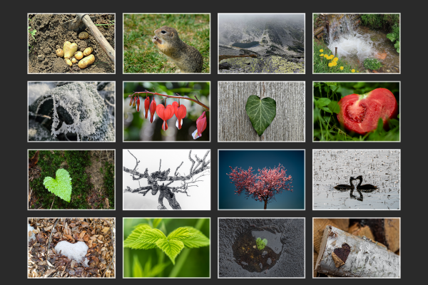 print_frame_2026-mozaik_f19F1E35C0-7FE0-E05A-6C35-B9FA966A5F6F.png