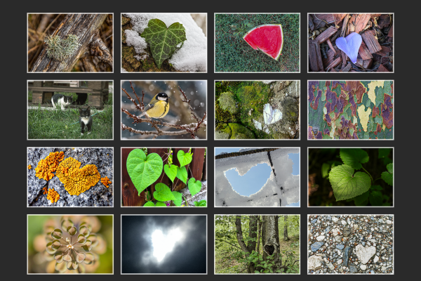 print_frame_2026-mozaik_f2B5E51B99-BF12-EF99-B349-49DD4D41C7D6.png